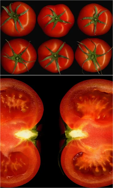Domates kolaj — Stok fotoğraf