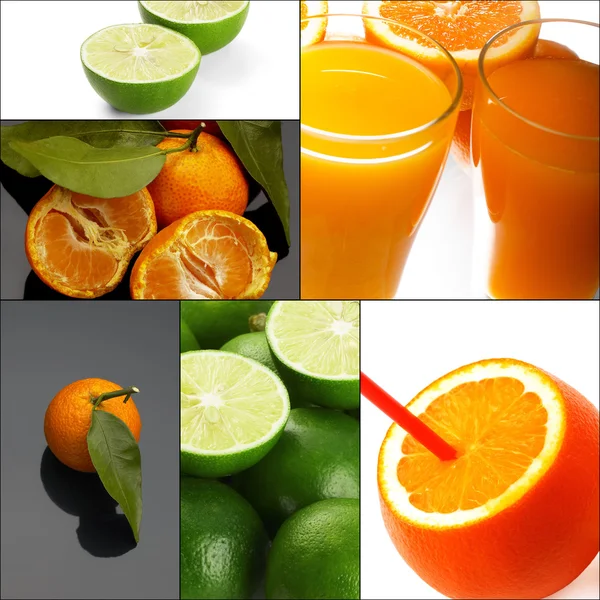 Citrus fruits collage — Stock Photo, Image