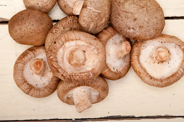 Shiitake champignons — Stockfoto