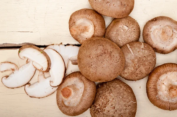 Shiitake champignons — Stockfoto