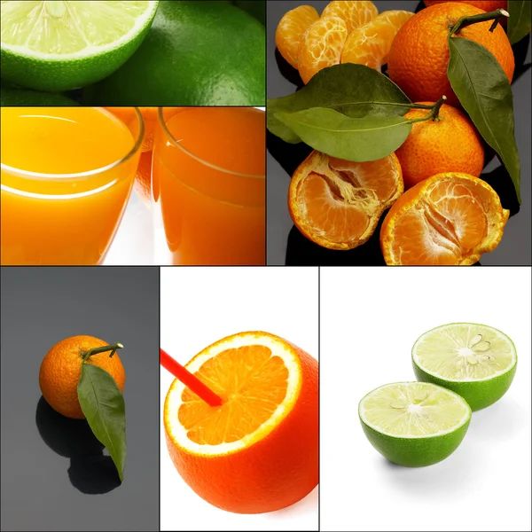 Citrus fruits collage — Stock Photo, Image