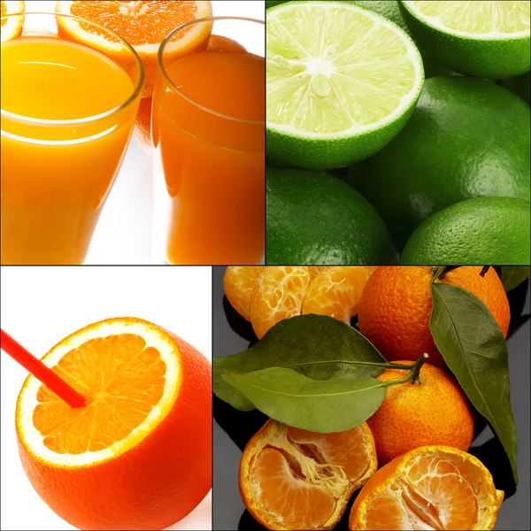 Citrus fruits collage — Stock Photo, Image