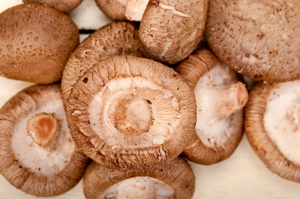 Shiitake-Pilze — Stockfoto