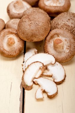 shiitake mantarları