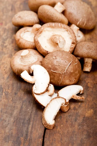 Shiitake champignons — Stockfoto