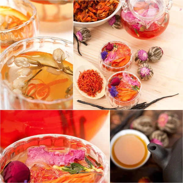 Raccolta di diverse tisane infusione collage — Foto Stock