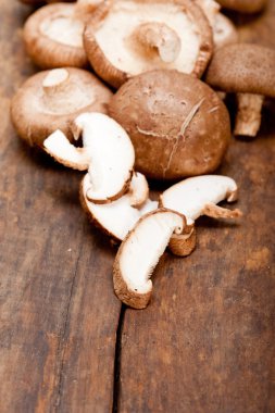 shiitake mantarları