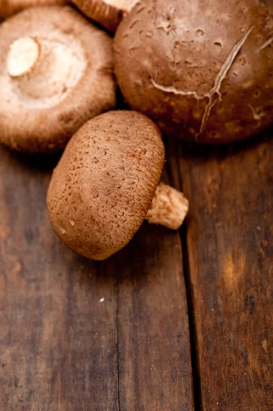 Funghi Shiitake — Foto Stock