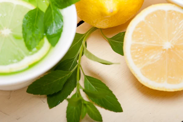 Mint infusion tea tisane with lemon — Stock Photo, Image