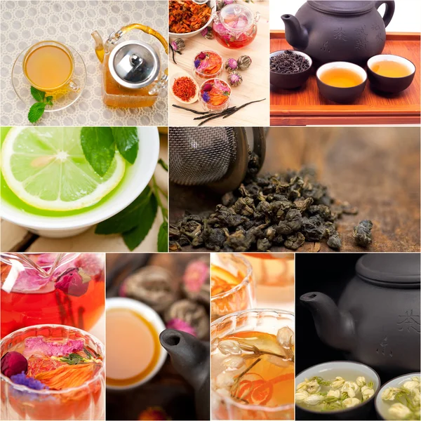 Raccolta di diverse tisane infusione collage — Foto Stock