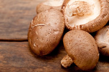 shiitake mantarları