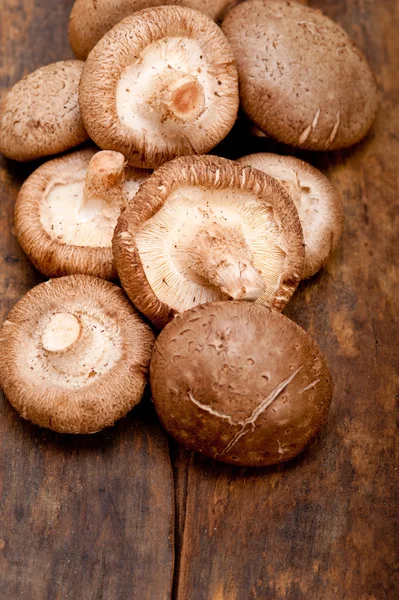 Funghi Shiitake — Foto Stock