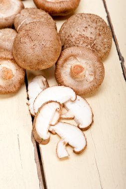 shiitake mantarları