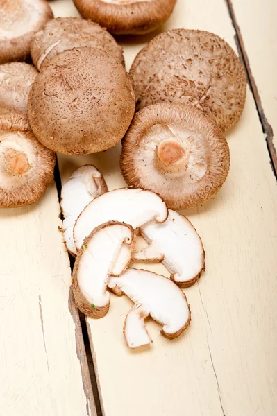 표고버섯 로열티 프리 스톡 사진
