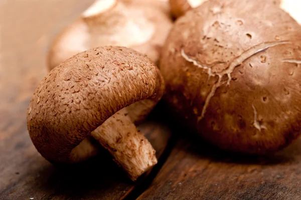 Cogumelos shiitake Fotos De Bancos De Imagens