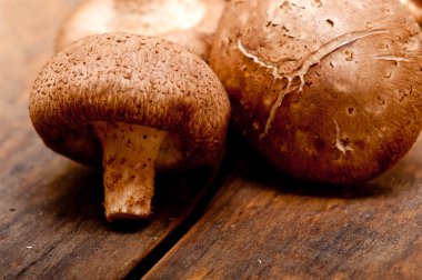 shiitake mantarları