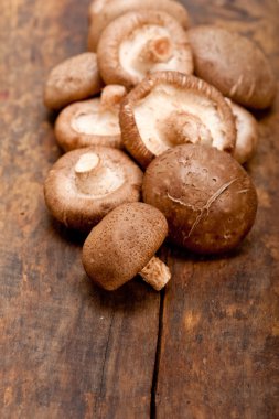 shiitake mantarları
