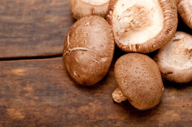 shiitake mantarları