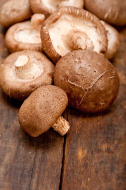 shiitake mantarları