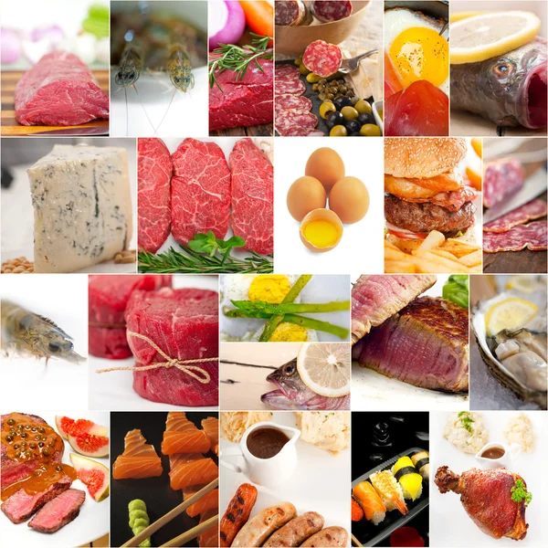 Proteinrik mat samling collage — Stockfoto