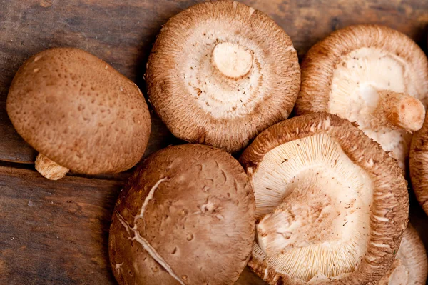 Funghi Shiitake — Foto Stock