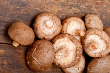 shiitake mushrooms clipart