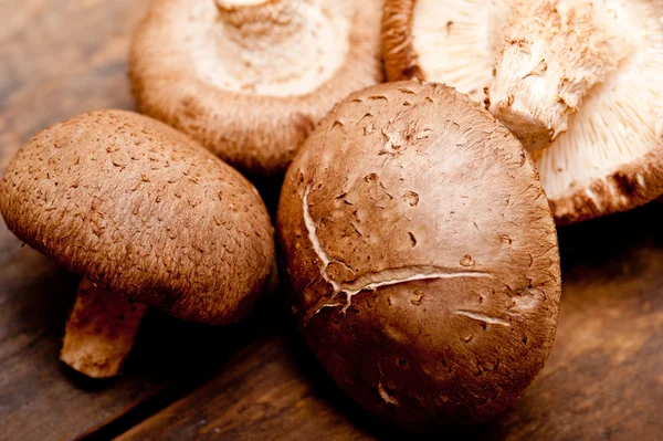 Shiitake champignons — Stockfoto