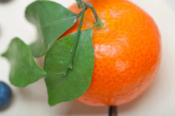 Tangerine and blueberry on white table — Stock Photo, Image