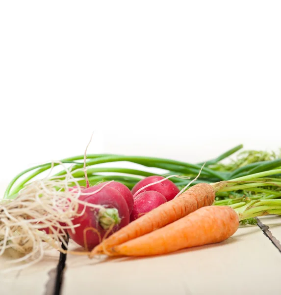 Surový kořenová zelenina — Stock fotografie