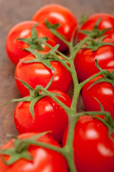 Tomates cerises fraîches sur un cluster — Photo