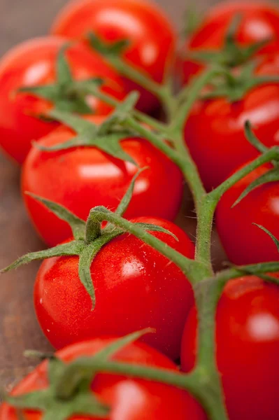 Verse cherry tomaten op een cluster — Stockfoto