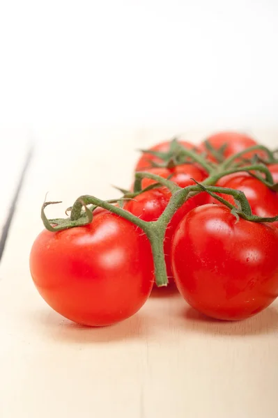 Verse cherry tomaten op een cluster — Stockfoto