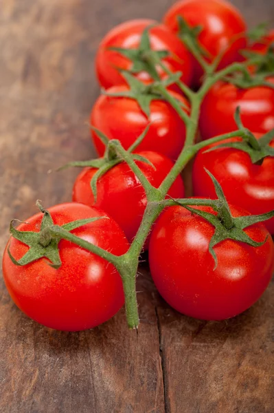 Tomates cerises fraîches sur un cluster — Photo