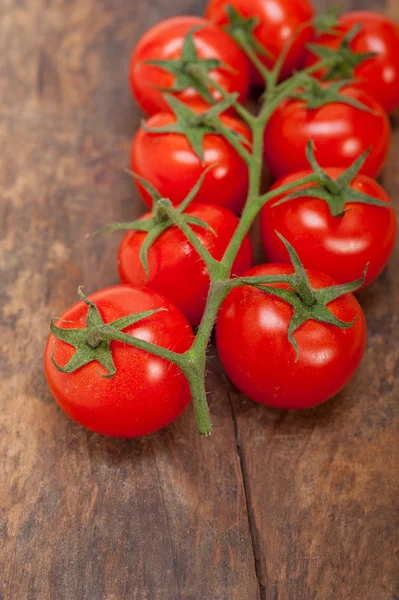 Tomates cerises fraîches sur un cluster — Photo