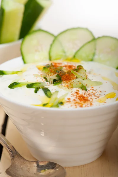 Salade arabe de yaourt de chèvre et de concombre du Moyen-Orient — Photo