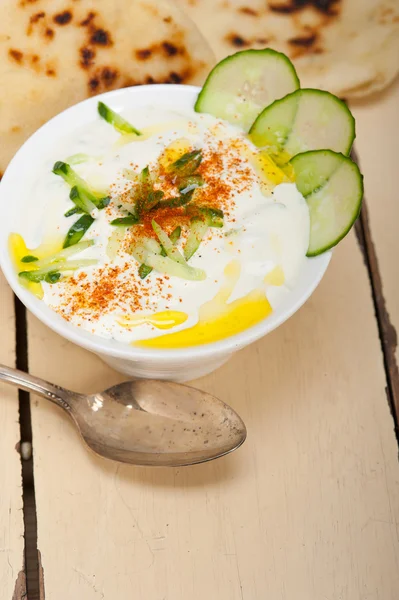 Arab middle east goat yogurt and cucumber salad — Stock Photo, Image