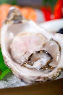 taze suşi seçim kombinasyon ürün çeşitliliği seçimi 