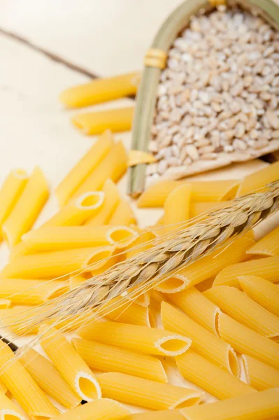 Penne de macarrão italiano com trigo — Fotografia de Stock