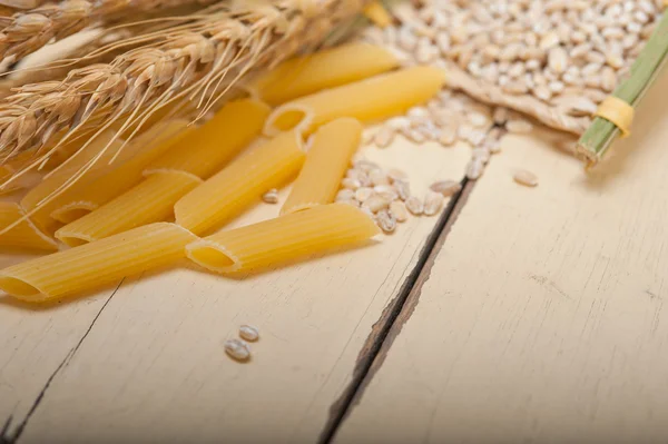 Pasta italiana penne con grano — Foto Stock