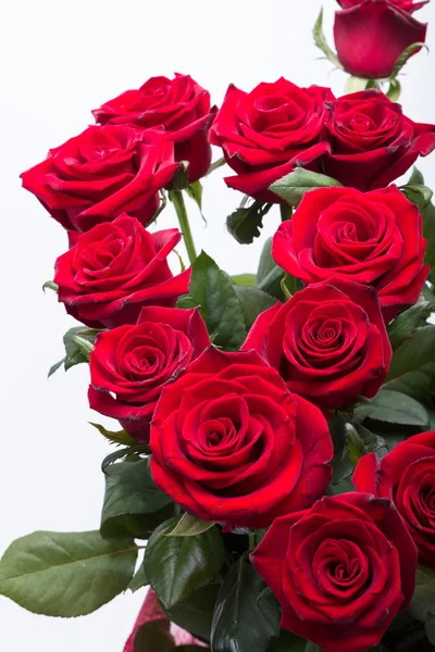 Bukett blommande mörkröda rosor — Stockfoto