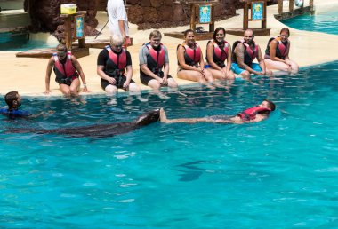 Deniz Aslanları Havuzu,, Oasis Park, Fuerteventura, Kanarya Adaları, İspanya gösterir