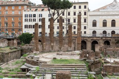 Largo di Torre Argentina Roma'da, arkeolojik alanına