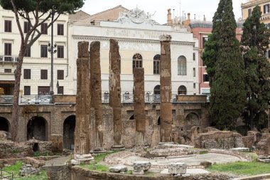 Largo di Torre Argentina Roma, İtalya, arkeolojik alanına