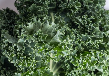 Sağlıklı taze kıvırcık lahana