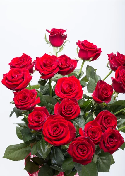 Bouquet of blossoming dark red roses — Stock Photo, Image
