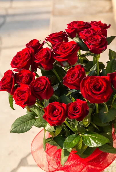 Bouquet of blossoming dark red roses — Stock Photo, Image