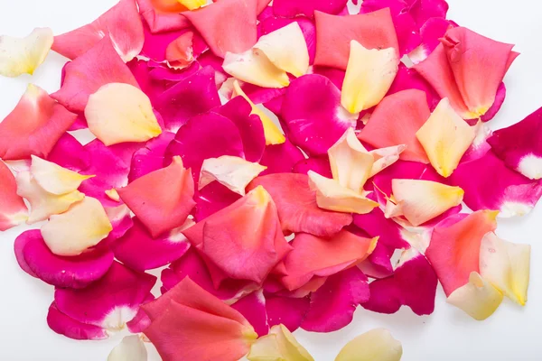 Blütenblätter aus rosa und gelben Rosen blühen. Hintergrund — Stockfoto
