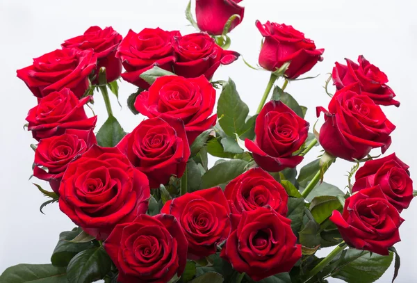 Bouquet of blossoming dark red roses — Stock Photo, Image