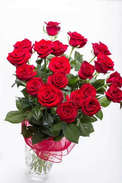 Bouquet of blossoming dark red roses Stock Image