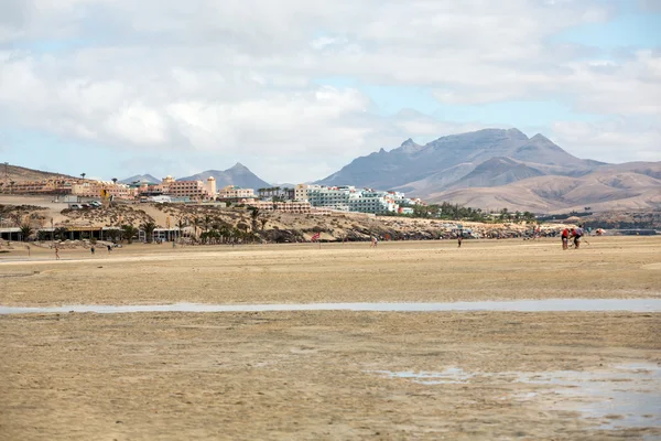 Spiaggia Playa de Sotavento, Isole Canarie Fuerteventura — Foto Stock